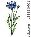 手繪線條和水彩插畫，描繪了盛開的矢車菊。 138830601