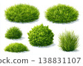 green moss isolated on white background 138831107