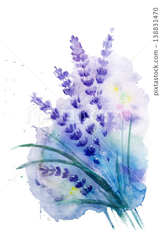 Watercolor painting: lavender on a colorful field. Hand-drawn Watercolor painting: lavender on a colorful field. Hand-drawn 138831470