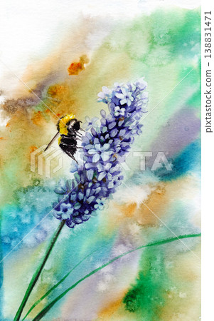Watercolor painting of lavender and a bee in a colorful field. Hand-drawn Watercolor painting of lavender and a bee in a colorful field. Hand-drawn 138831471