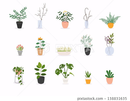 Set of decorative house plants. Flowerpot isolated objects, houseplant flower pot collection. Set of decorative house plants. Flowerpot isolated objects, houseplant flower pot collection. 138831635