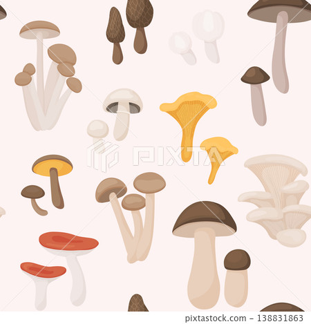 Large Mushroom set of vector illustrations in flat design isolated on white. Seamless pattern. Large Mushroom set of vector illustrations in flat design isolated on white. Seamless pattern. 138831863