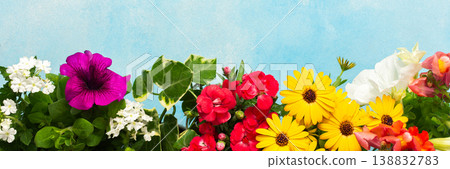 Vibrant spring flowers in various colors adorn a balcony, creating a joyful atmosphere. Seasonal blooms bring life and beauty to the outdoor space, inviting relaxation and enjoyment, banner Vibrant spring flowers in various colors adorn a balcony, creating a joyful atmosphere. Seasonal blooms bring life and beauty to the outdoor space, inviting relaxation and enjoyment, banner 138832783