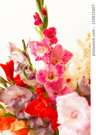 A group of mixed gladiolus flowers in shades of red, white, yellow, and purple stands in a vase. The flowers are fresh and arranged closely, creating a colorful bouquet A group of mixed gladiolus flowers in shades of red, white, yellow, and purple stands in a vase. The flowers are fresh and arranged closely, creating a colorful bouquet 138832807