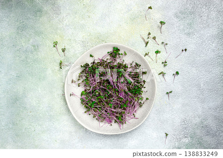 fresh radish micro-greens, purple, on a plate, top view, no people, fresh radish micro-greens, purple, on a plate, top view, no people, 138833249