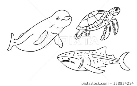 Illustration of a beluga whale, sea turtle, and shark in a simple black and white design suitable for coloring books or educational materials Illustration of a beluga whale, sea turtle, and shark in a simple black and white design suitable for coloring books or educational materials 138834254