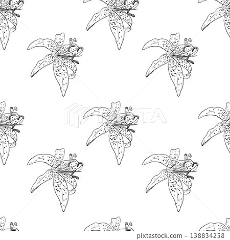 Lily beautiful graphic flowers seamless pattern 138834258