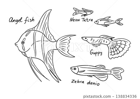 Illustration of various fish species including Angel Fish, Neon Tetra, Guppy, and Zebra Danio, labeled with their names in a simple black and white design 138834336
