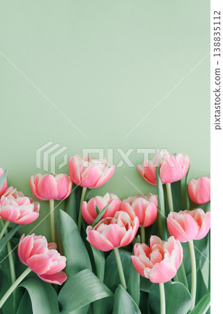 Bouquet of pink tulips on green background. Anniversary celebration concept. Bouquet of pink tulips on green background. Anniversary celebration concept. 138835112