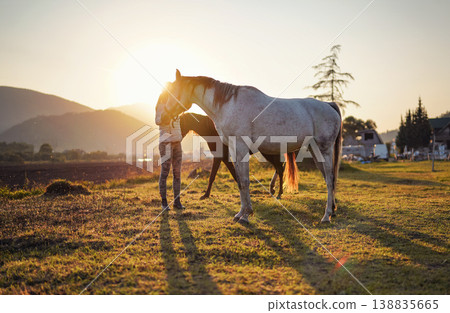 Young woman walks near two arabian horses, afternoon sun backlight, blurred farm buildings background 138835665