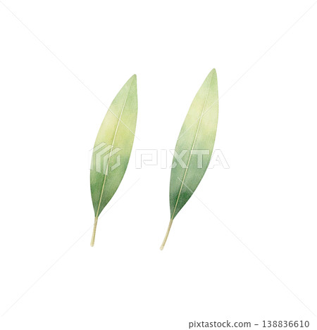 綠色花環水彩插畫邊框材料 138836610