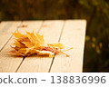 Golden autumn leaves touched by frost on wooden table 138836996