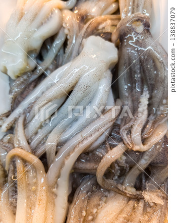 Fresh small raw whole octopus carcasses and tentacles on ice display at seafood market. Mini octopus whole cleaned meat for cooking. Healthy mediterranean ingredient. 138837079