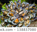 Fresh raw green-lipped mussels arranged on crushed ice at a luxury seafood market, high-quality shellfish platter with gourmet ingredients for culinary recipes and commercial restaurant advertising 138837080