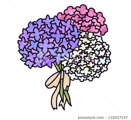 Hydrangea bouquet illustration: purple, pink, and white; rainy season; June flower; hand-drawn style; white background. Hydrangea bouquet illustration: purple, pink, and white; rainy season; June flower; hand-drawn style; white background. 138837247