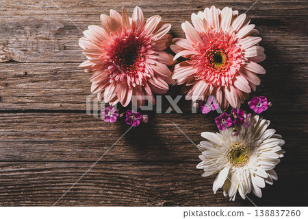 Colorful Gerbera Daisies on Rustic Wood Background. Gerbera Flowers on Wooden Surface. Colorful Gerbera Daisies on Rustic Wood Background. Gerbera Flowers on Wooden Surface. 138837260