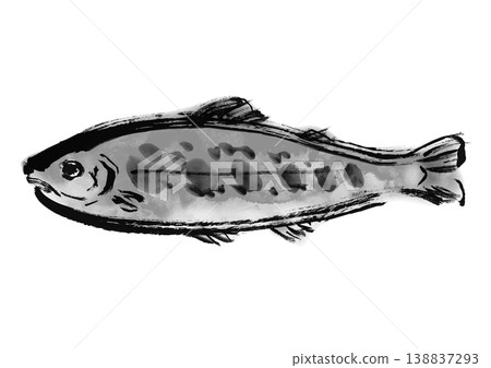 日式風格的鱒魚插圖（岩名） 138837293