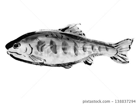 日式書法風格的櫻花鮭魚插畫。 138837294
