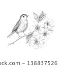 Botanical pencil sketch of small bird perched on blossoming cherry branch with spring flowers and leaves, composition isolated on white background, for nature-inspired design and rustic decor 138837526
