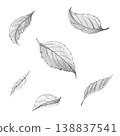 Collection of hand-drawn pencil sketches featuring cherry leaves and botanical foliage, set isolated on white background, for rustic garden designs, organic packaging, and autumn-themed graphics 138837541