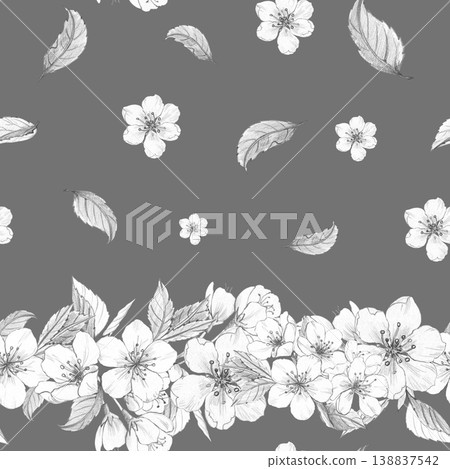 Seamless border pattern of hand-drawn pencil sketches of cherry blossoms and leaves on dark gray background, for elegant wedding stationery and header designs, interior wallpaper, fabric print Seamless border pattern of hand-drawn pencil sketches of cherry blossoms and leaves on dark gray background, for elegant wedding stationery and header designs, interior wallpaper, fabric print 138837542