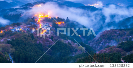 夢幻般的霧景：吉野的千棵櫻花樹 138838282