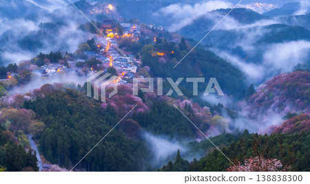 夢幻般的霧景:吉野的千棵櫻花樹 夢幻般的霧景:吉野的千棵櫻花樹 138838300