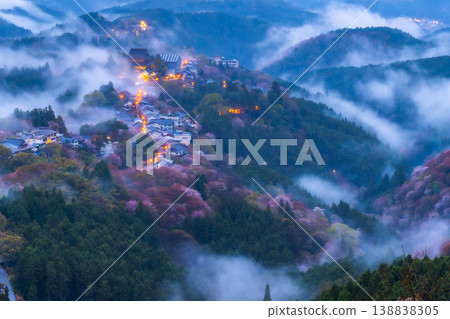 夢幻般的霧景：吉野的千棵櫻花樹 138838305