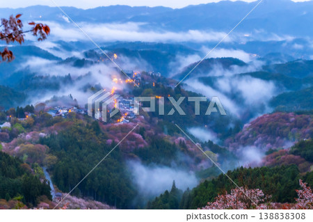 夢幻般的霧景:吉野的千棵櫻花樹 夢幻般的霧景:吉野的千棵櫻花樹 138838308