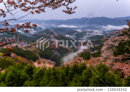 夢幻般的霧景:吉野的千棵櫻花樹 夢幻般的霧景:吉野的千棵櫻花樹 138838342