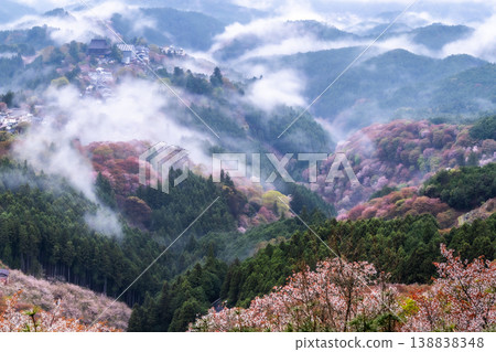 A fantastical misty landscape: Yoshino's thousand cherry trees A fantastical misty landscape: Yoshino's thousand cherry trees 138838348