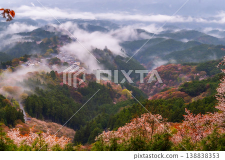 A fantastical misty landscape: Yoshino's thousand cherry trees A fantastical misty landscape: Yoshino's thousand cherry trees 138838353