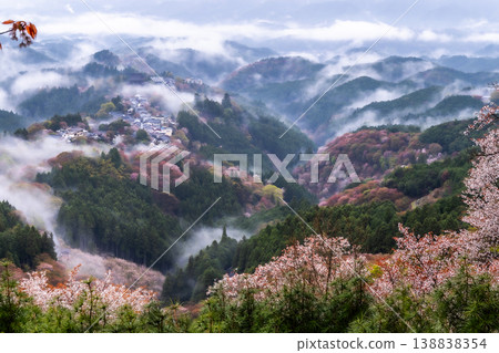 A fantastical misty landscape: Yoshino's thousand cherry trees A fantastical misty landscape: Yoshino's thousand cherry trees 138838354