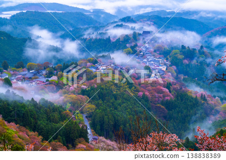 夢幻般的霧景：吉野的千棵櫻花樹 138838389