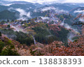 夢幻般的霧景：吉野的千棵櫻花樹 138838393