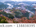夢幻般的霧景：吉野的千棵櫻花樹 138838395