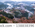夢幻般的霧景：吉野的千棵櫻花樹 138838396
