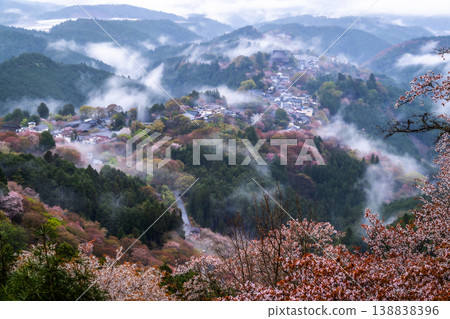 夢幻般的霧景:吉野的千棵櫻花樹 夢幻般的霧景:吉野的千棵櫻花樹 138838396