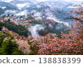 夢幻般的霧景：吉野的千棵櫻花樹 138838399