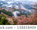 夢幻般的霧景：吉野的千棵櫻花樹 138838400
