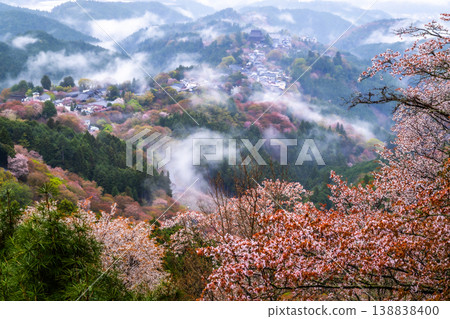 夢幻般的霧景：吉野的千棵櫻花樹 138838400