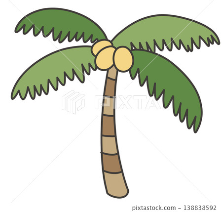 Palm tree 138838592