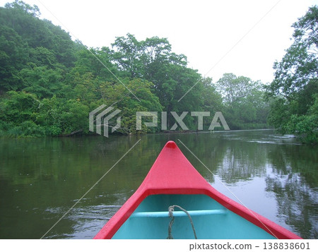 Canoeing along a river surrounded by greenery - a lush, natural waterside landscape Canoeing along a river surrounded by greenery - a lush, natural waterside landscape 138838601