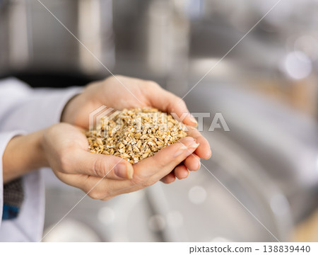 Handful of milled malted grain in hands of female brewmaster Handful of milled malted grain in hands of female brewmaster 138839440