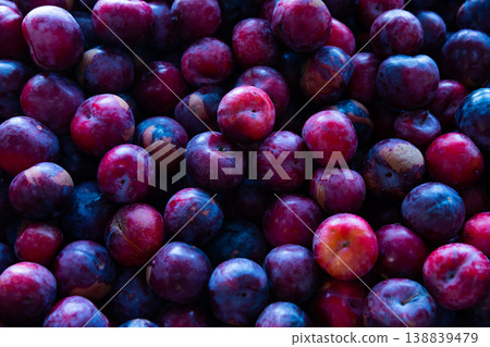 Fresh tasty plums, harvest from garden Fresh tasty plums, harvest from garden 138839479