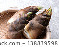 Freshly picked bamboo shoots in a basket 138839598