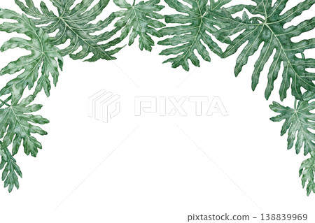 Tropical leaves rectangular frame Philodendron Selloum watercolor botanical illustration. Hand drawn green foliage texture with copy space. Floral nature design for garden card decorative template. 138839969