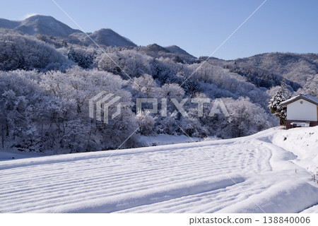 下雪的早晨；冬日山村景色；樹上積滿了新雪。 138840006