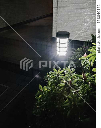 夜晚花園裡的燈光 138840151