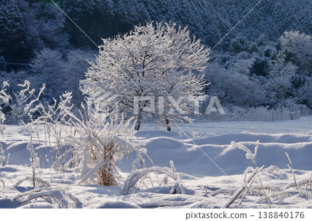 下雪的早晨;冬日山村景色;樹上積滿了新雪。 下雪的早晨;冬日山村景色;樹上積滿了新雪。 138840176